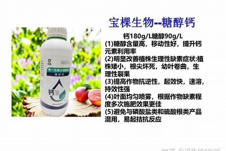 决明子可以做花肥吗