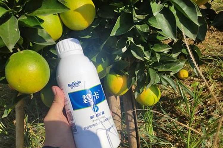 什么时候使用果树叶面肥效果最好 需要注意问题有