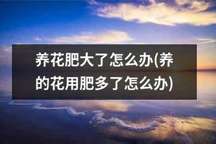 果树叶面肥喷施时间