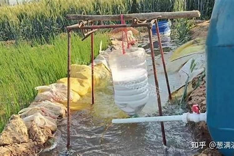 梨树追肥注意什么