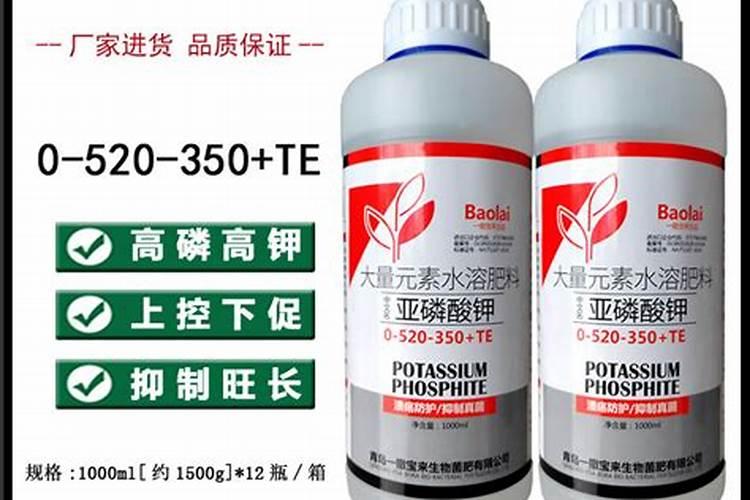 草莓在开花的时候施什么肥料