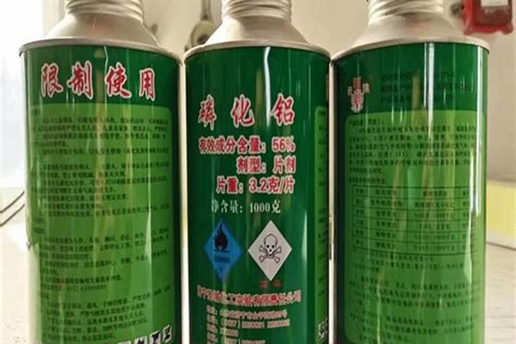 衢州金都一号火龙果