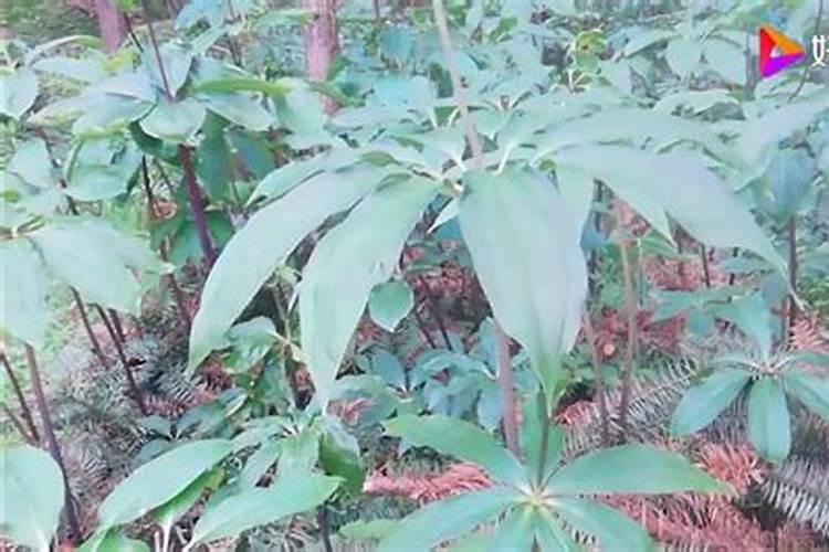 尿结晶与结石,两者有什么区别？