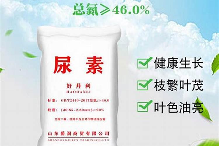 果树叶面肥喷施时间