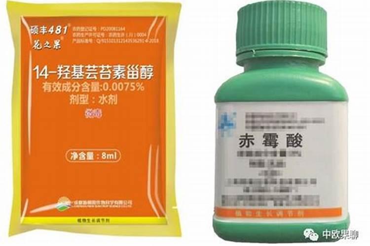芸苔素内酯和赤霉酸能在一起种吗