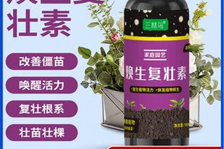 生根剂的使用方法