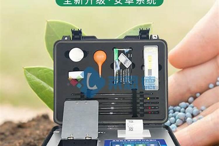 草莓开花时怎样施农家肥