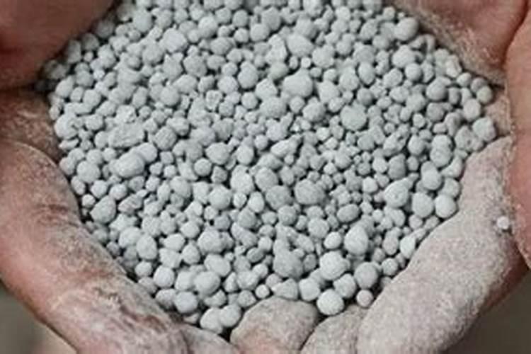 蔬菜作物缺钾有哪些症状？怎样防治？