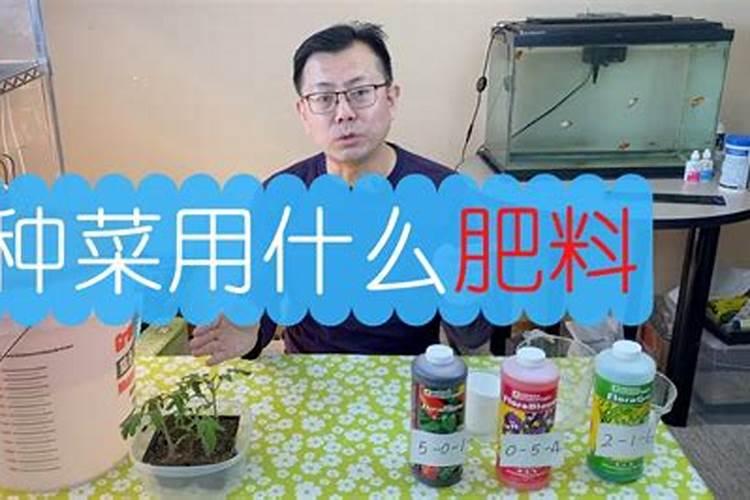 种植花生,如何施用钾和钙？