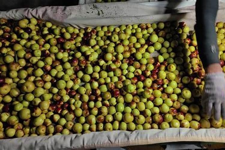 复合肥和磷钾肥有什么区别