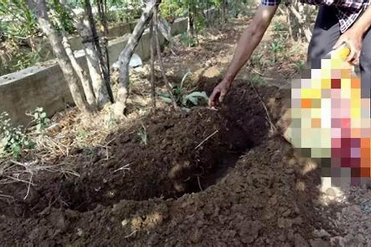 果树水浇多了会怎么样？