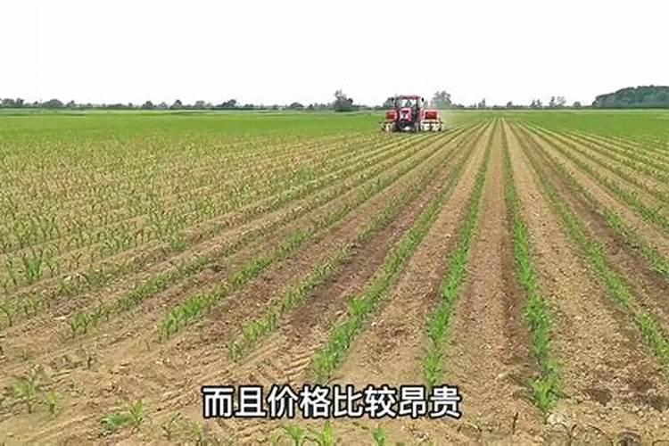 钾肥对农作物有什么作用？