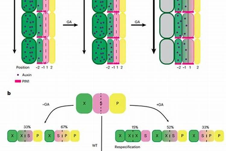 连云港适合送人的土特产店