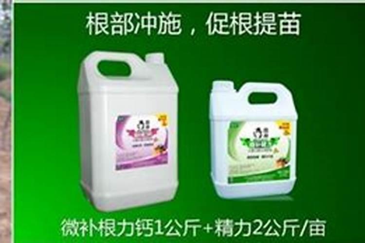 猕猴桃什么时候施肥,猕猴桃施肥技术