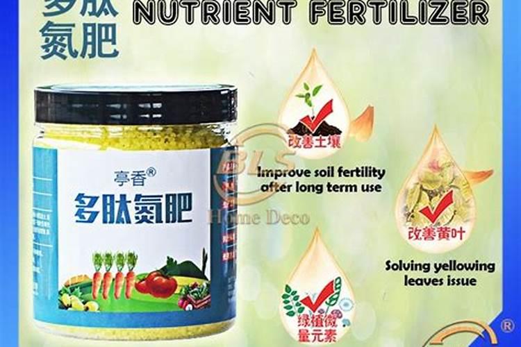 根瘤菌固氮原理？