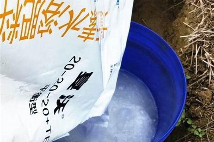 氮肥对果树的作用