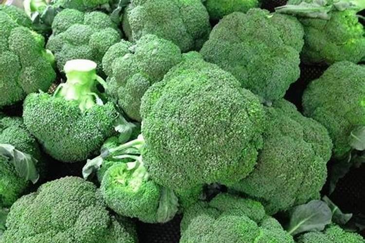 西兰花追肥用什么肥料好