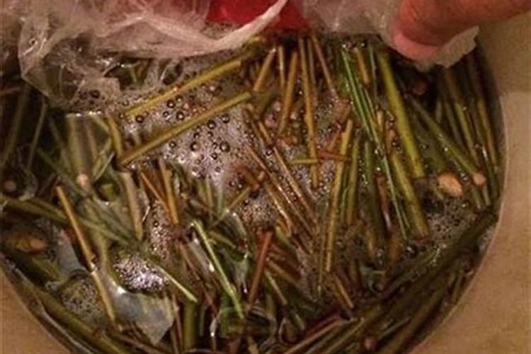 维生素e可以养花草吗花卉百科