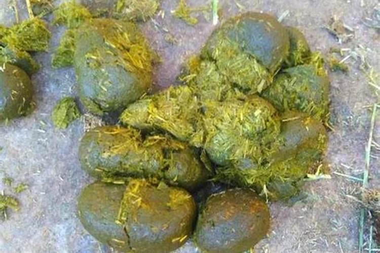 马粪不能做肥料