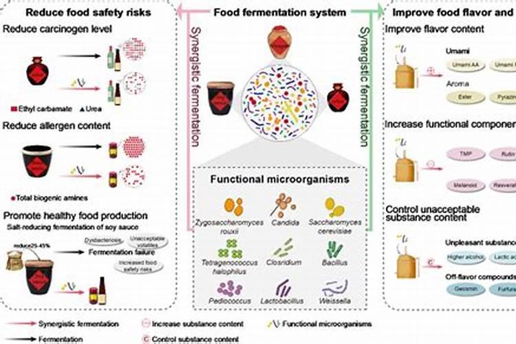 青岛海水有海藻吗