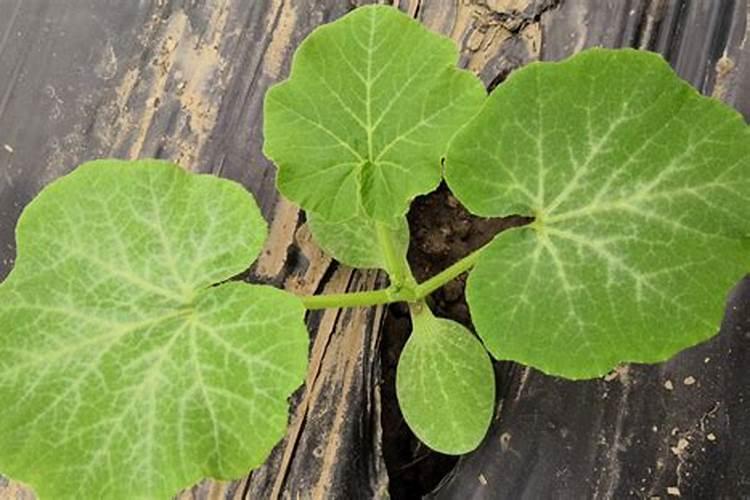 贵阳化妆学校哪个比较专业,贵阳化妆学校哪个较好,知道的朋友说下谢谢...