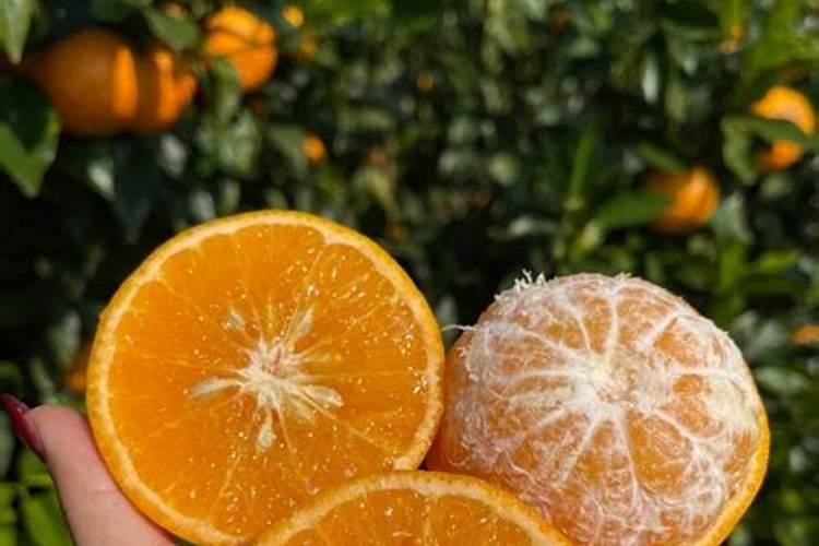 钙肥与钾肥之间是颉颃关系吗这两种肥料可以混合使用吗