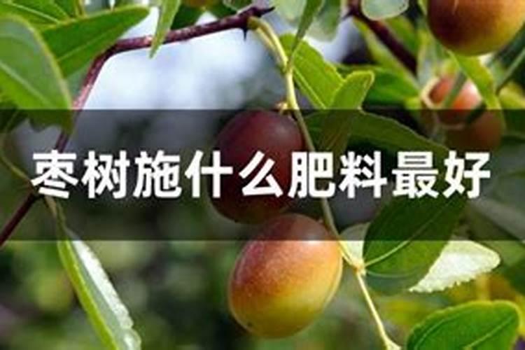 磷肥和钙肥能一起用吗 磷肥是酸性还是碱性的