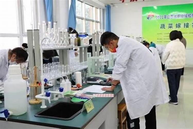 氨基酸水溶肥的功效与作用