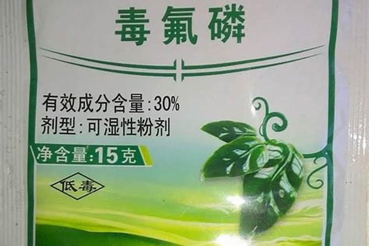 哈密瓜的营养价值有哪些？