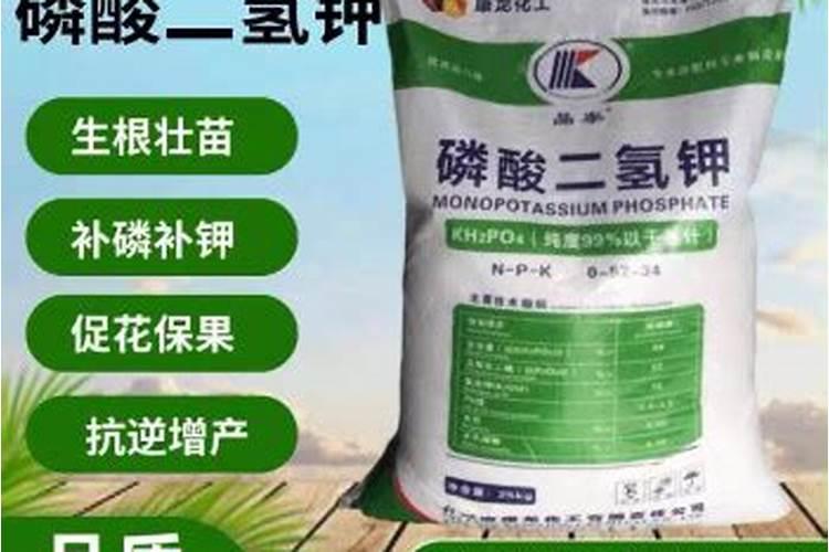 玛菲叶面肥的突出功效在哪里？