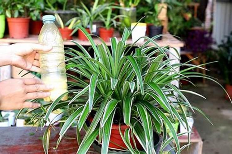 大量元素水溶肥料多少钱一要几天才能配土