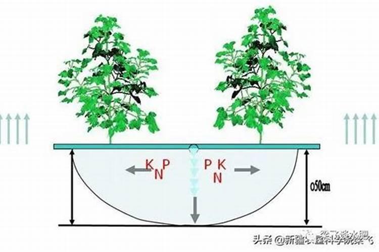 尿素做叶面肥的配比