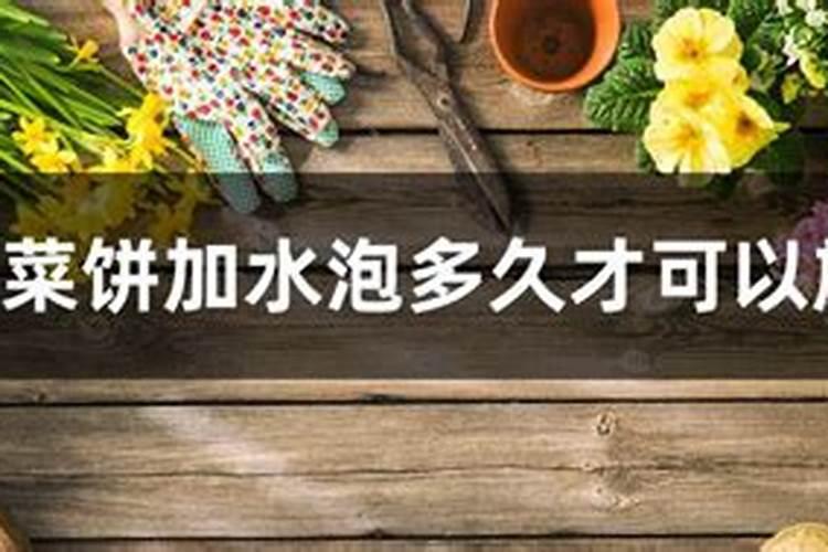 草莓初花期冲什么肥