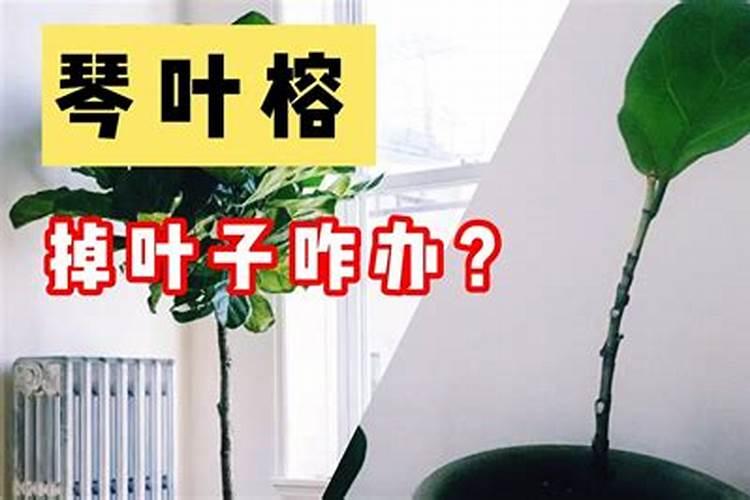 豆角焯水后含钾多少