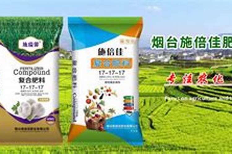 种植西瓜步骤
