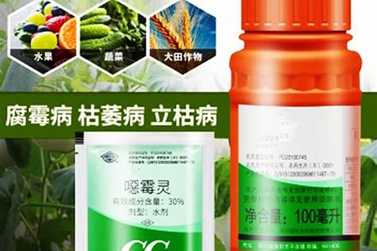 草莓长势弱可以用碧护调节下吗？
