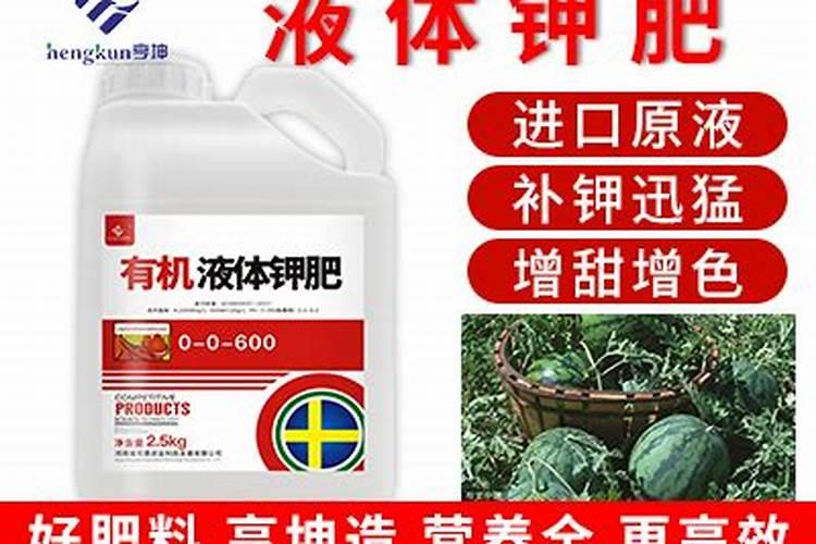 葵花一共浇几遍肥料