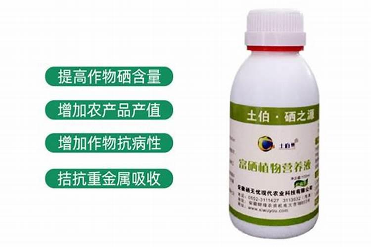 柑橘苗叶面肥施药方法 柑橘专用叶面肥应该如何施用