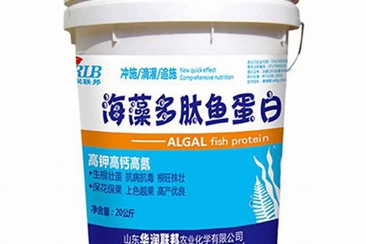 高磷高钾食物有哪些