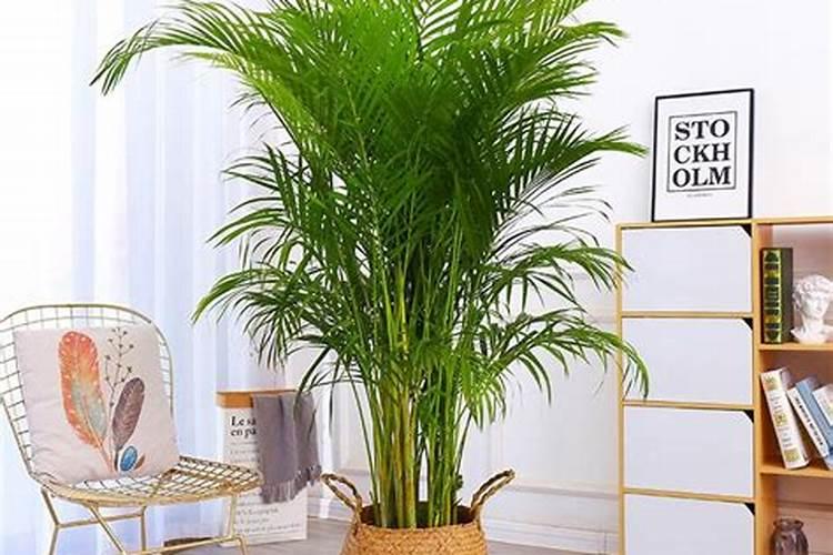 下列化肥属于钾肥的是( ) A.氯化铵 B.磷矿粉 C.氯化钾 D.尿