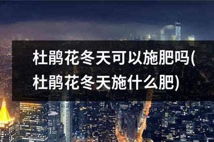 巧棵力水溶肥里面钾的成分高吗,膨果效果怎么样？