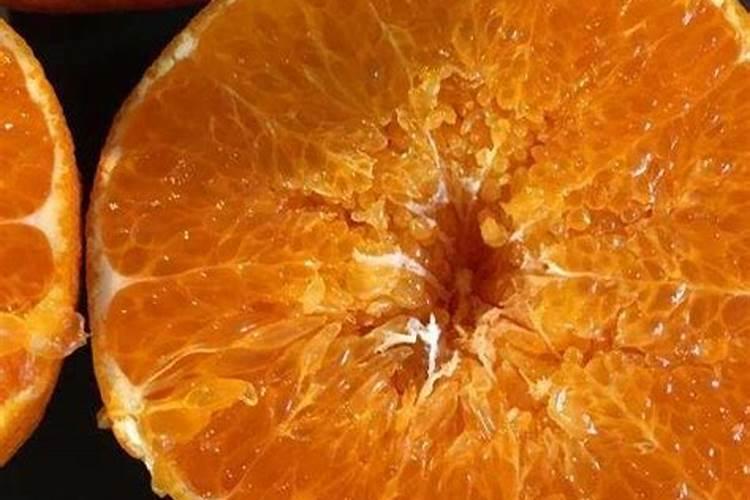 种多肉植物用什么土 多肉最简单的配土方法