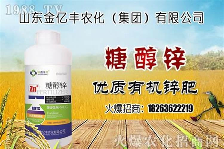 锌肥叶面喷施注意事项