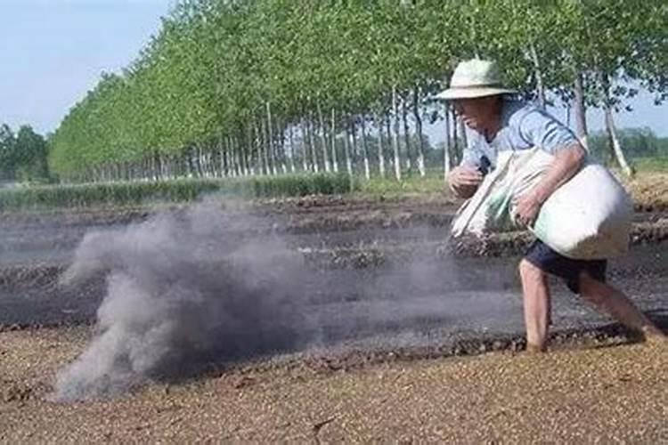 草木灰是什么肥 草木灰使用方法