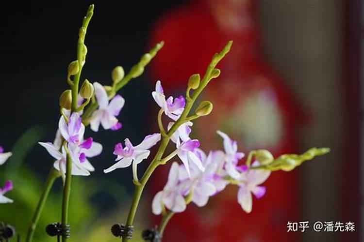 河北启农有机肥有限公司怎么样？