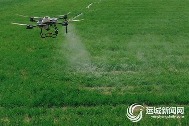 氮磷钾肥有哪些,氮磷钾肥怎么施