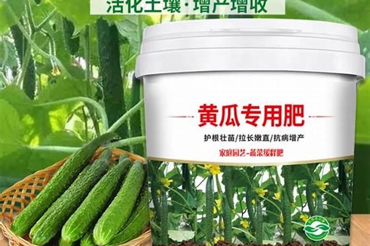 多肉用什么肥料最好