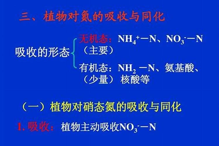 怎样做荷花的营养液