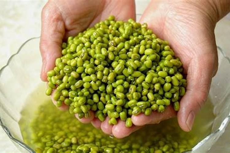 绿豆怎么才能做成肥料