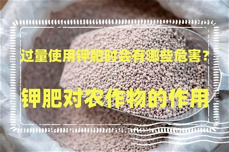 海藻肥哪个品牌的好